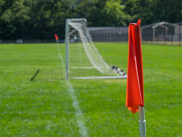 曾因外援表 曾因外援表