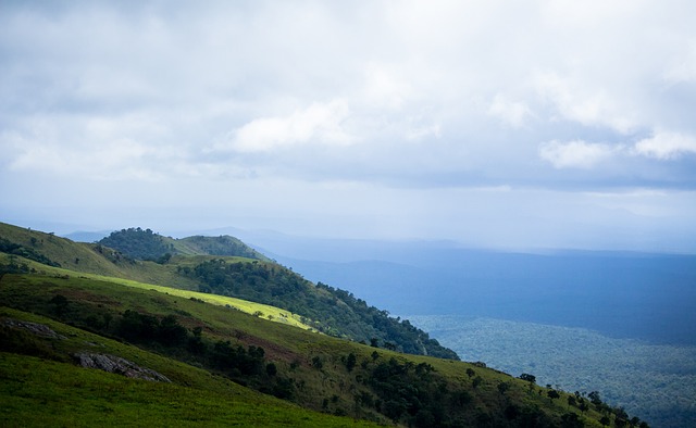 他选择了以 他选择了以