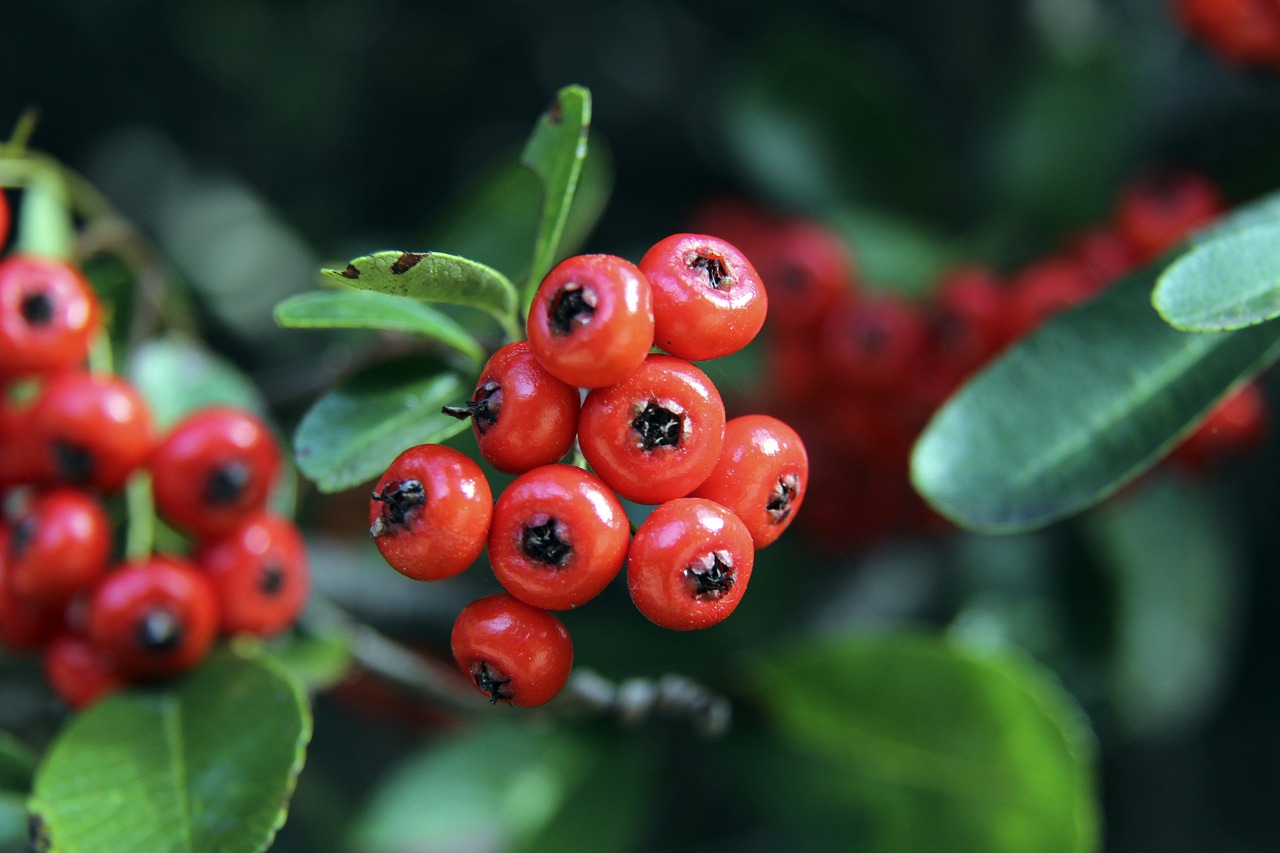 这种团队化 这种团队化