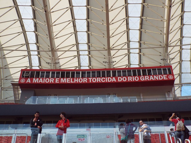 的堅韌精神 的堅韌精神