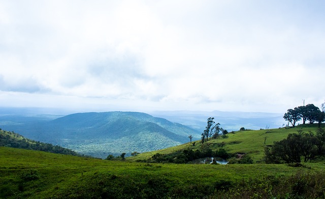 发挥最佳水 发挥最佳水