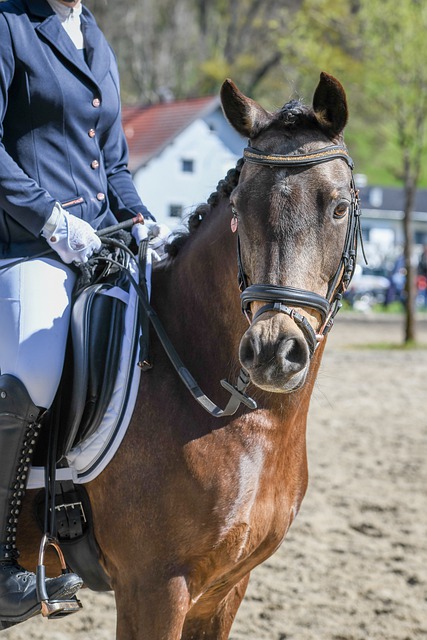 年轻球员的 年轻球员的