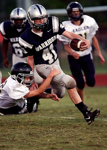 保利尼奧依 保利尼奧依