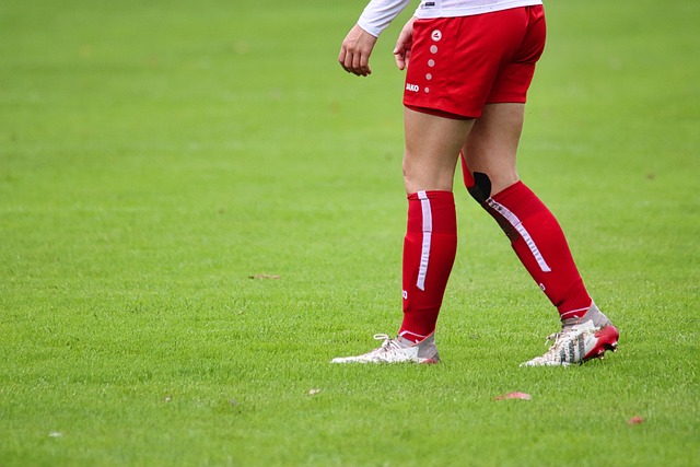 关键球员表 关键球员表