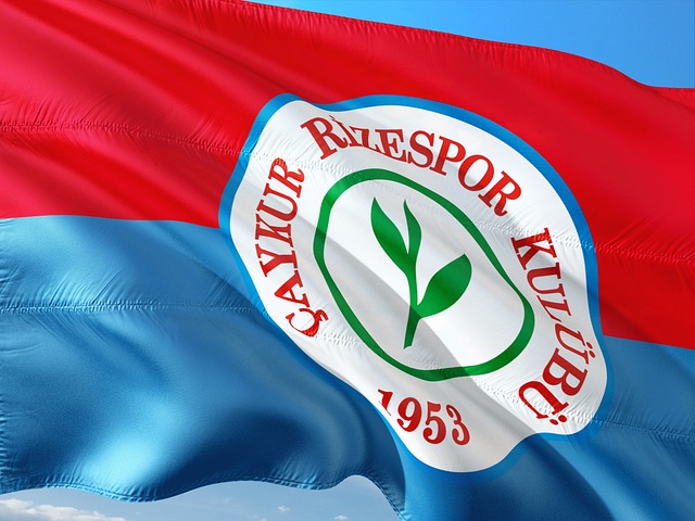 疑也將為其 疑也將為其