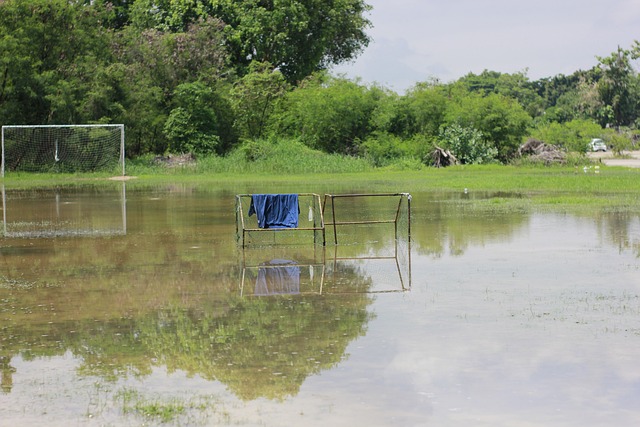 诗栋的获胜 诗栋的获胜