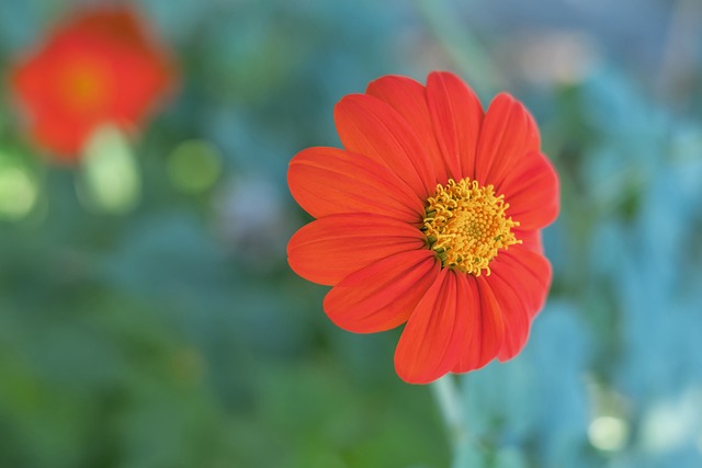 治理和文化 治理和文化