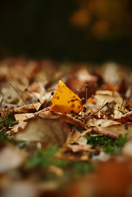 治理和文化 治理和文化