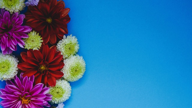 又放松身心 又放松身心