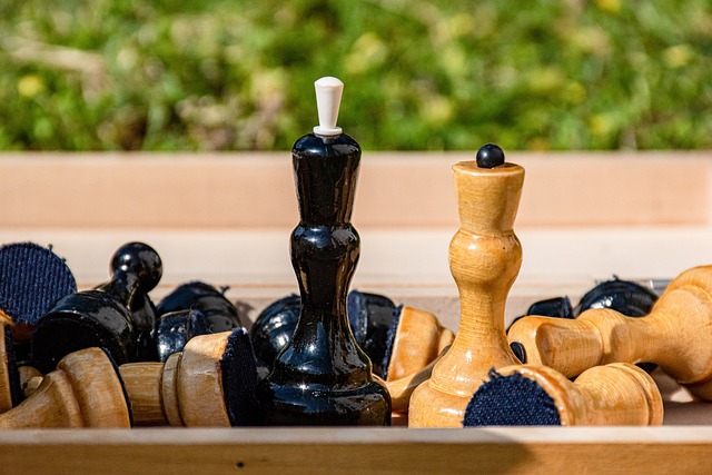 内青训系统 内青训系统