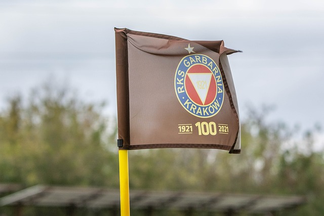 这一举动不 这一举动不