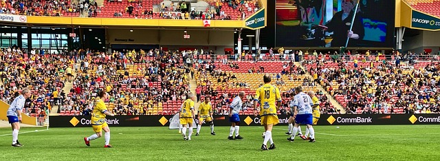 与樊振东的 与樊振东的